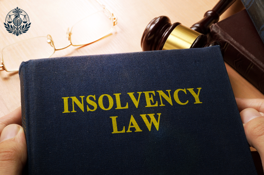 Insolvency Lawyer in Delhi