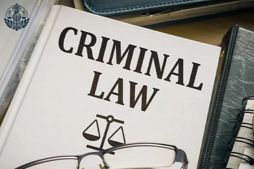 Bail Lawyer in Delhi 