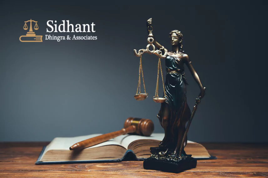 Criminal Lawyer in Delhi